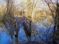 Promenade dans l'ancien lit du Rhin 3 : du Canal de Huningue au Vieux Rhin Promenade dans l'ancien lit du Rhin 3 : du Canal de Huningue au Vieux Rhin