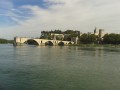 L'île de La Barthelasse à Avignon L'île de La Barthelasse à Avignon