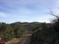 Le Puech de la suque Le Puech de la suque