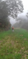 Le retour par la route forestière Omega Le retour par la route forestière Omega