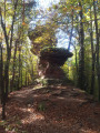 Sentier franco-allemand de château en château - 2ème partie Sentier franco-allemand de château en château - 2ème partie
