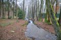 Le ruisseau de Nabruay Le ruisseau de Nabruay