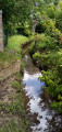 Le vallon du Ruisseau Henri-Fontaine entre Orp et Grand-Hallet Le vallon du Ruisseau Henri-Fontaine entre Orp et Grand-Hallet