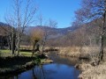 De Sewen au Lac d'Alfeld De Sewen au Lac d'Alfeld