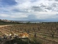 Le Sentier du Berger à Leucate Le Sentier du Berger à Leucate