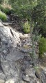 La haute vallée de la Ganière et le Sentier du Facteur La haute vallée de la Ganière et le Sentier du Facteur