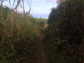 Le sentier Le sentier