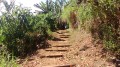 Le sentier Le sentier