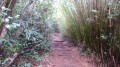 Le sentier Le sentier