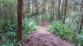 Le sentier Le sentier