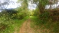 Le sentier Le sentier