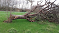 Le Parc de Lomme à Lille Le Parc de Lomme à Lille