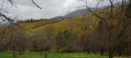 Entre Achern et Sasbachwalden Entre Achern et Sasbachwalden