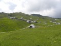 Balade sur le plateau buccolique de Velika Planina Balade sur le plateau buccolique de Velika Planina