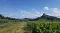 Boucle dans les hauts du Mâconnais au départ de Chasselas Boucle dans les hauts du Mâconnais au départ de Chasselas