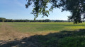 Balade au bord de l'Adour et dans ses barthes Balade au bord de l'Adour et dans ses barthes
