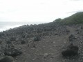 Le Sentier de l'Effet Mer Le Sentier de l'Effet Mer