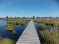 Entre forêts et paysage de steppes à Ternell Entre forêts et paysage de steppes à Ternell