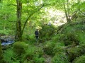Les Gorges de la Canche Les Gorges de la Canche