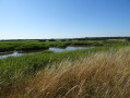 De la Baie d'Yves au Fort de Fouras par le sentier côtier De la Baie d'Yves au Fort de Fouras par le sentier côtier