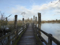 La citadelle, le Héron, les marais de la Marque autour de Lille La citadelle, le Héron, les marais de la Marque autour de Lille