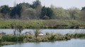 Autour du Port du Collet Autour du Port du Collet