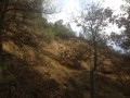 Les "toutes petites ocres" de Mirabeau Les "toutes petites ocres" de Mirabeau