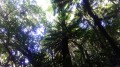 Le Sentier de la Découverte dans le Bois Bon accueil Le Sentier de la Découverte dans le Bois Bon accueil