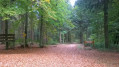 "Les portes" de la Forêt Domaniale de Sedan