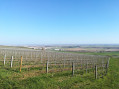 Vignes, champs et bois, crêtes et vallons de Montgueux et Macey Vignes, champs et bois, crêtes et vallons de Montgueux et Macey