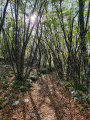Balade aux alentours de Courmes Balade aux alentours de Courmes