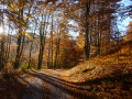 Circuit des trois cols au Pays d'Aillou Circuit des trois cols au Pays d'Aillou