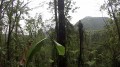 Piton Gelé Piton Gelé