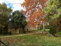 Mas de Raymondville Mas de Raymondville