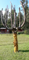 Mausolées et sculptures de bois Mausolées et sculptures de bois
