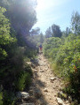 Mont Paon, Vallon de Lèque à Fontvieille Mont Paon, Vallon de Lèque à Fontvieille