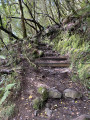Montée Typique Montée Typique