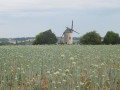 Les vieilles pierres autour de la Sansonnière Les vieilles pierres autour de la Sansonnière