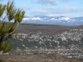 Neige sur les Cévennes Neige sur les Cévennes