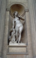 Nymphe Nymphe