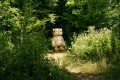 Vent des Forêts, découverte du Court-circuit Vent des Forêts, découverte du Court-circuit