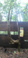 Palisade à trous Palisade à trous