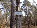 La Carte du Tendre en Forêt de Fontainebleau La Carte du Tendre en Forêt de Fontainebleau