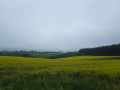 Panorama retour Panorama retour