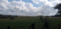 Panorama Panorama