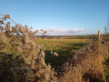 Panorama Panorama