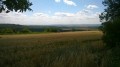 Entre vignes et bois : panoramas sur Reims et la Vesle Entre vignes et bois : panoramas sur Reims et la Vesle