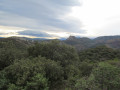 Panorama Panorama