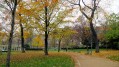 Parc de Monceau Parc de Monceau