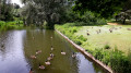 Parc du roi Baudouin Parc du roi Baudouin